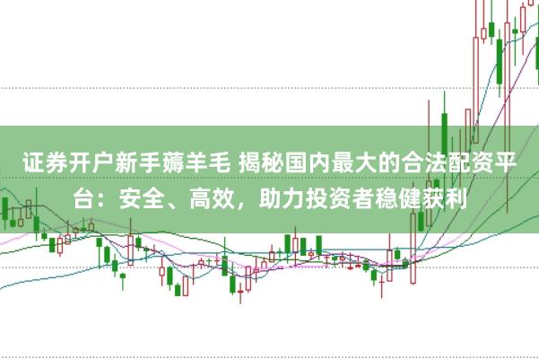 证券开户新手薅羊毛 揭秘国内最大的合法配资平台：安全、高效，助力投资者稳健获利