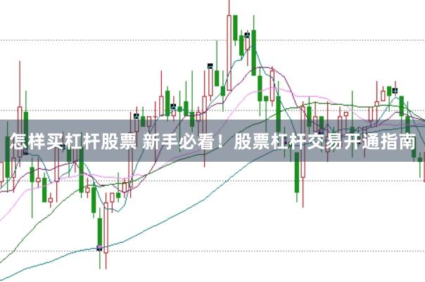 怎样买杠杆股票 新手必看！股票杠杆交易开通指南