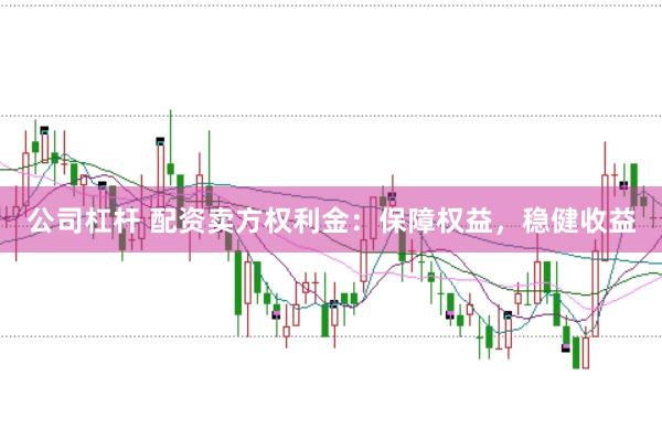 公司杠杆 配资卖方权利金：保障权益，稳健收益