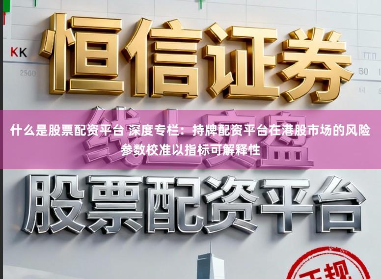 什么是股票配资平台 深度专栏：持牌配资平台在港股市场的风险参数校准以指标可解释性