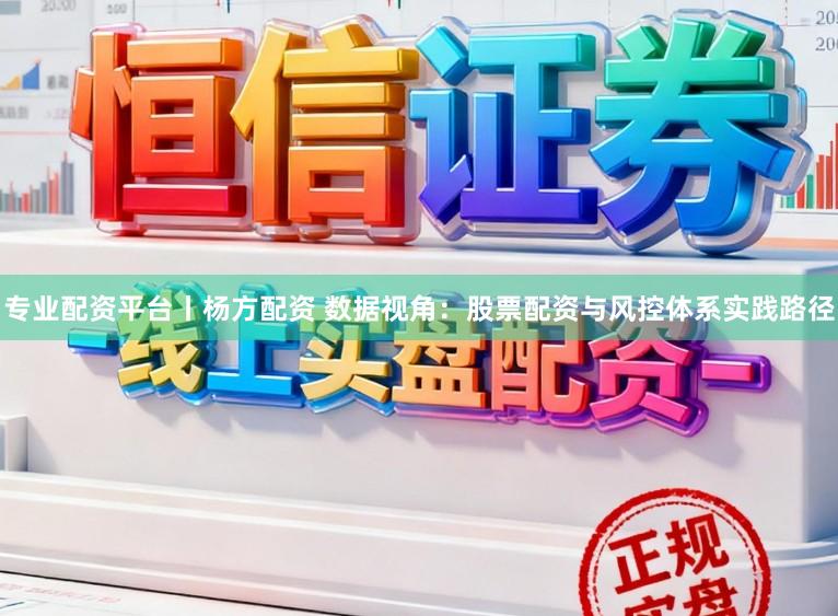 专业配资平台丨杨方配资 数据视角：股票配资与风控体系实践路径