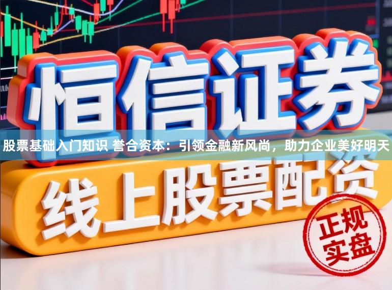 股票基础入门知识 誉合资本：引领金融新风尚，助力企业美好明天